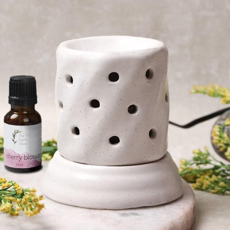 Enhance Your Home Decor and Well-being with The Earth Store's Ceramic Aroma Oil Diffusers - The Earth Store