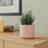 Pink Fringe Ceramic Planter - The Earth Store - Planter