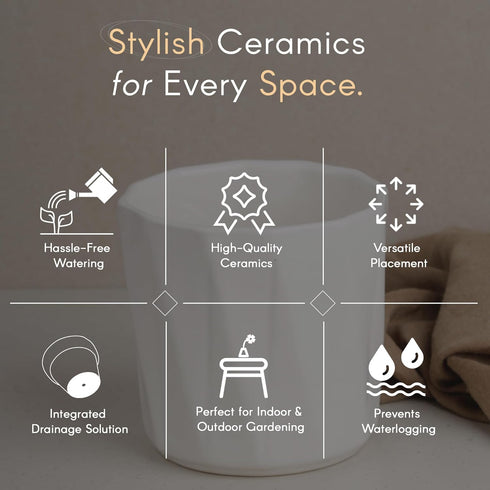 White Hexa Ceramic Planter - The Earth Store - Planter