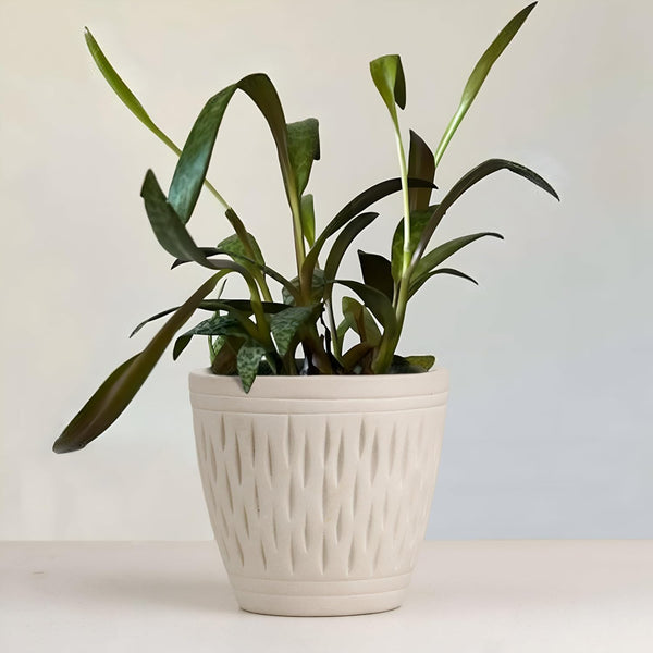 Conical White Carved Ceramic Planter - The Earth Store - Vase