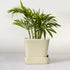 Cream Square Ceramic Planter - The Earth Store - Vase