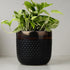Dual Tone Ceramic Planter - The Earth Store - Planter