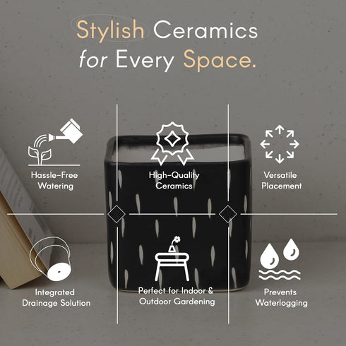 Dash Black Square Ceramic Clay Pots - The Earth Store - Planter