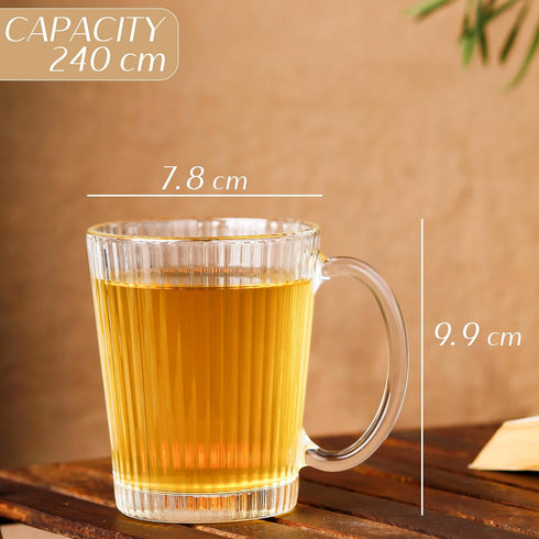 Lined Glass Coffee Mug Set of 6, 240 ML