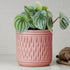 Pink Carved Cylindrical Ceramic Planter - The Earth Store - Planter