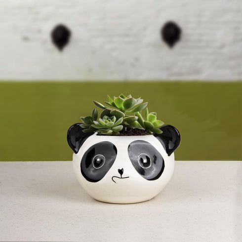 Panda Ceramic Clay Pots - The Earth Store - Planter