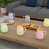 Pastel Flask Tea Cups (Set of 6) - The Earth Store - Cup Sets
