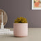 Pink Fringe Ceramic Planter - The Earth Store - Planter