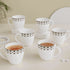 Set Of 6 Opal White Bone China Tea Cup - The Earth Store - Tea Cups