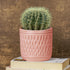 Pink Carved Cylindrical Ceramic Planter - The Earth Store - Planter