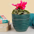 Teal Spiral Planter - The Earth Store - Planter