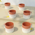 Tritone Brown Fringe Tea Cups Set of 6 - The Earth Store - Cup Sets