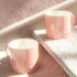 Tritone Pink Frontier Tea Cups Set of 6 - The Earth Store - Cup Sets