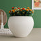 White 5.9 Inch Ceramic Planter Set of 1 - The Earth Store - Planter
