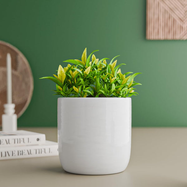 White Cylindrical Ceramic Clay Pots - The Earth Store - Planter