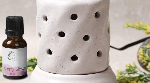 Enhance Your Home Decor and Well-being with The Earth Store's Ceramic Aroma Oil Diffusers - The Earth Store