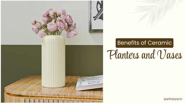 Benefits of Ceramic Planters and Vases for Your Home and Garden