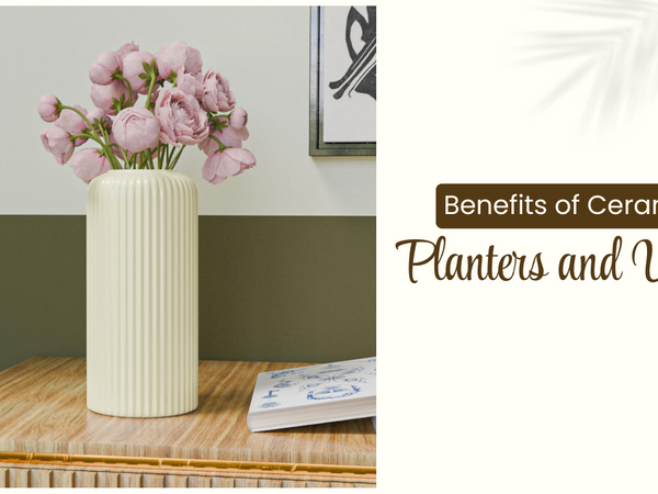 Benefits of Ceramic Planters and Vases for Your Home and Garden