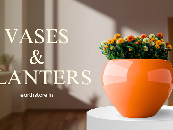 Top Trends in Ceramic Vases and Planters for 2025