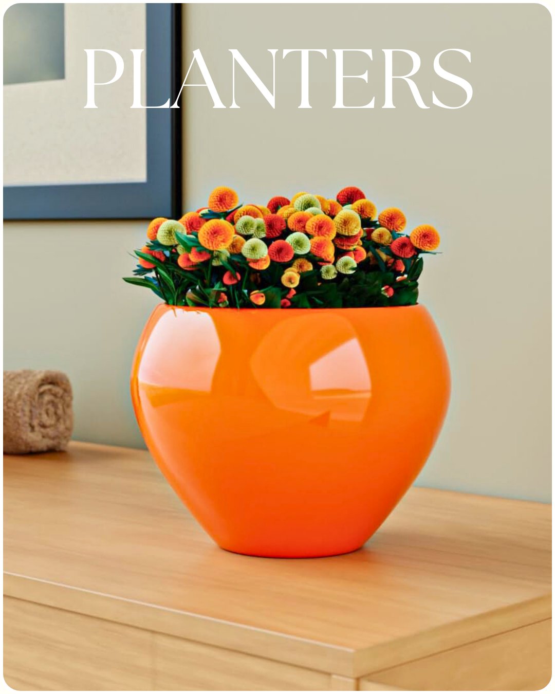 Planters - The Earth Store - - 