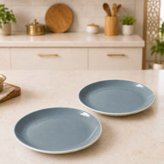 Organic Grey Ceramic Quarter Plates - Set of 2