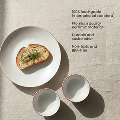White Matte Brown Ceramic Dinner Plate Set of 2
