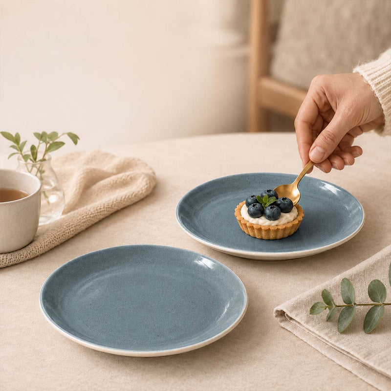 Organic Grey Ceramic Quarter Plates - Set of 4