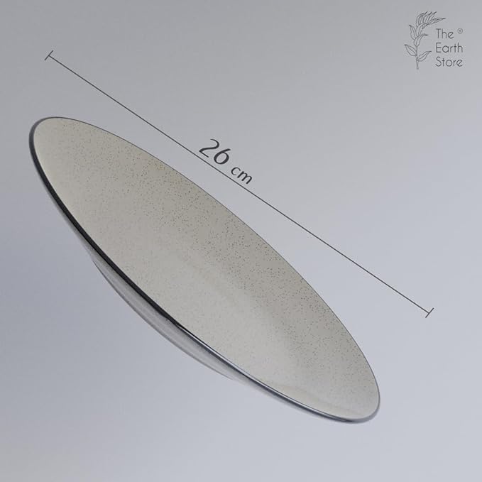 Glossy Grey Marble Ceramic Dinner Plates Set of 2