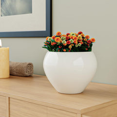 White 5.9 Inch Ceramic Planter Set of 1 - The Earth Store - Planter