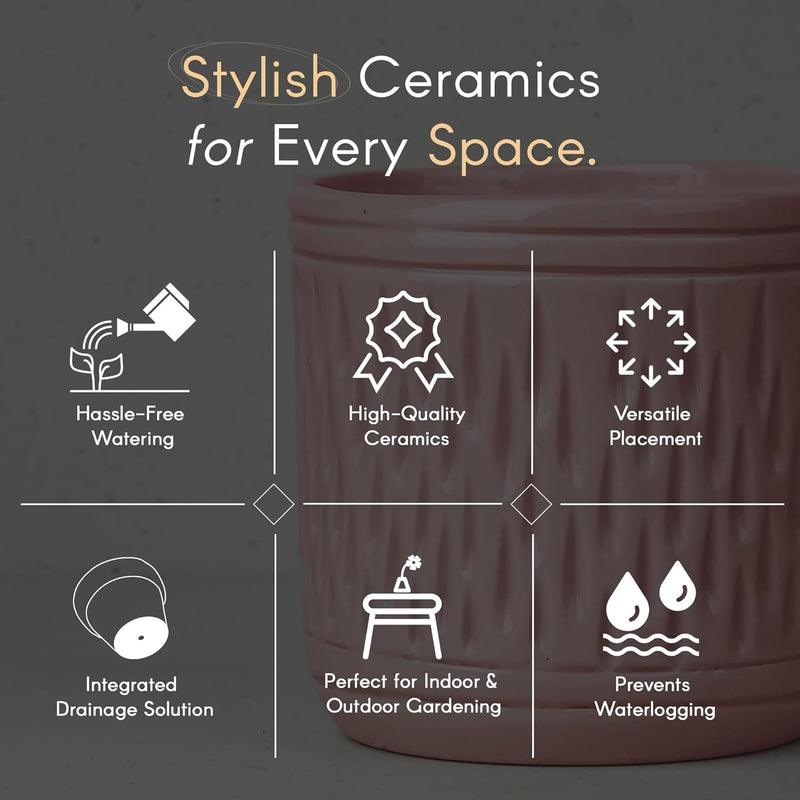 Pink Carved Cylindrical Ceramic Planter - The Earth Store - Planter