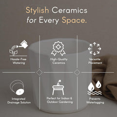 White Hexa Ceramic Planter - The Earth Store - Planter