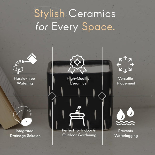 Dash Black Square Ceramic Clay Pots - The Earth Store - Planter