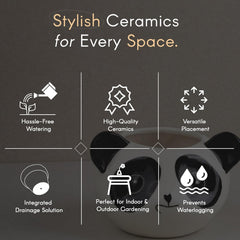 Panda Ceramic Clay Pots - The Earth Store - Planter