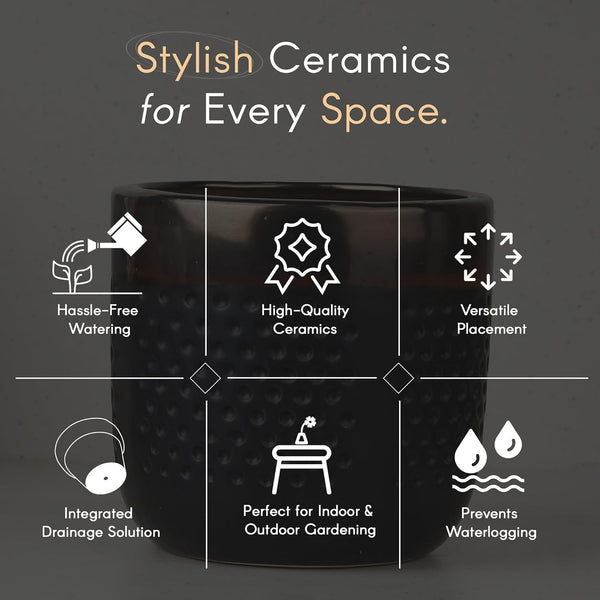 Dual Tone Ceramic Planter - The Earth Store - Planter