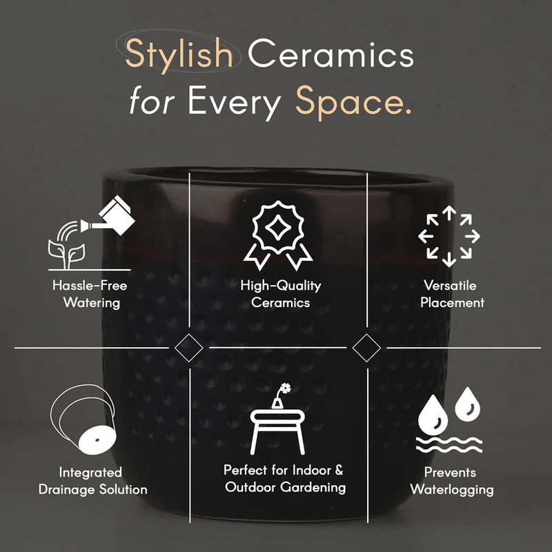 Dual Tone Ceramic Planter - The Earth Store - Planter