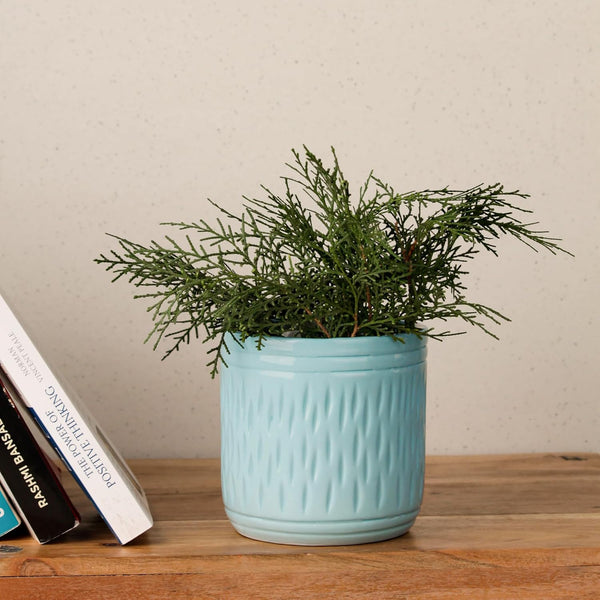 Blue Carved Cylindrical Ceramic Clay Pots - The Earth Store - Vase