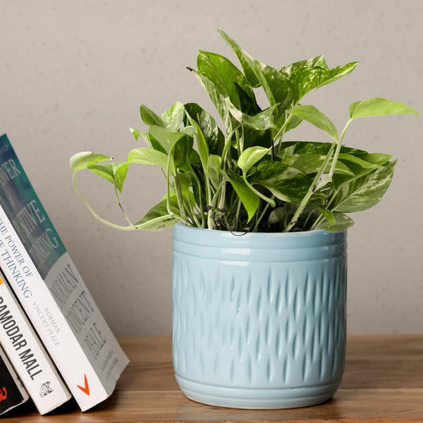 Blue Carved Cylindrical Ceramic Clay Pots - The Earth Store - Vase