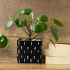 Dash Black Square Ceramic Clay Pots