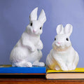Loppy Bunny Rabbit
