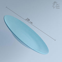 Sky Blue Matte Ceramic 2 Dinner Plates - The Earth Store - Dinnerware