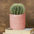 Pink Carved Cylindrical Ceramic Planter