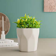 White Diamond Ceramic Planter - The Earth Store - Planter