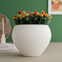 White 5.9 Inch Ceramic Planter Set of 1