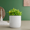 White Cylindrical Ceramic Clay Pots