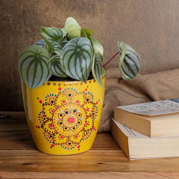 Yellow Flower Ceramic Clay Pots - The Earth Store - Planter