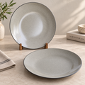 Glossy Grey Marble Ceramic Dinner Plates Set of 2